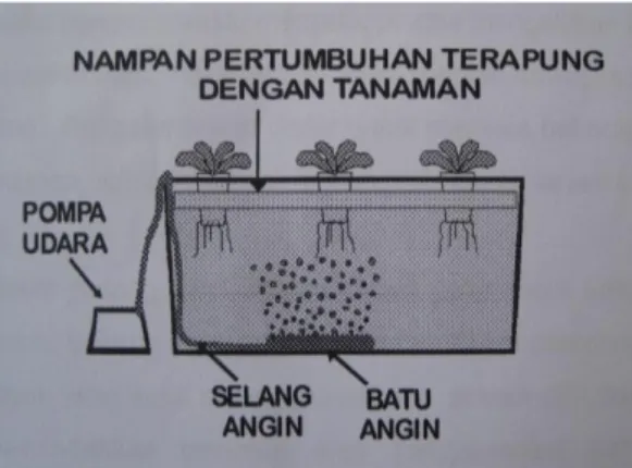 Gambar 2. Hidroponik Sistem Kultur Air  