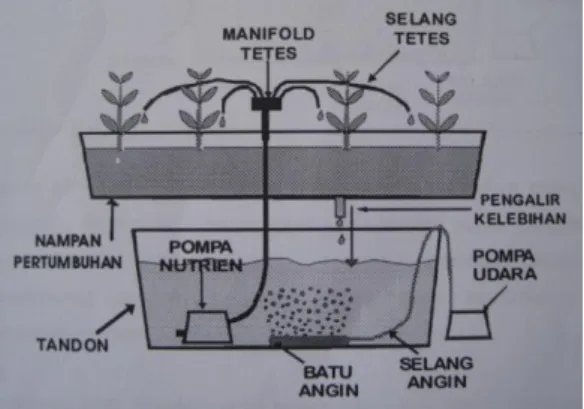 Gambar 4. Hidroponik Sistem Tetes  
