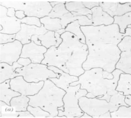 Gambar 2.9  Struktur mikro austenit [6] 