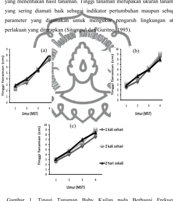 Gambar 1. Tinggi Tanaman Baby Kailan pada Berbagai Frekuensi  Penggenangan Nutrisi Sistem Hidroponik Ebb and Flow  dengan Tinggi Genangan 50% (a), 70% (b), dan 90% (c)  