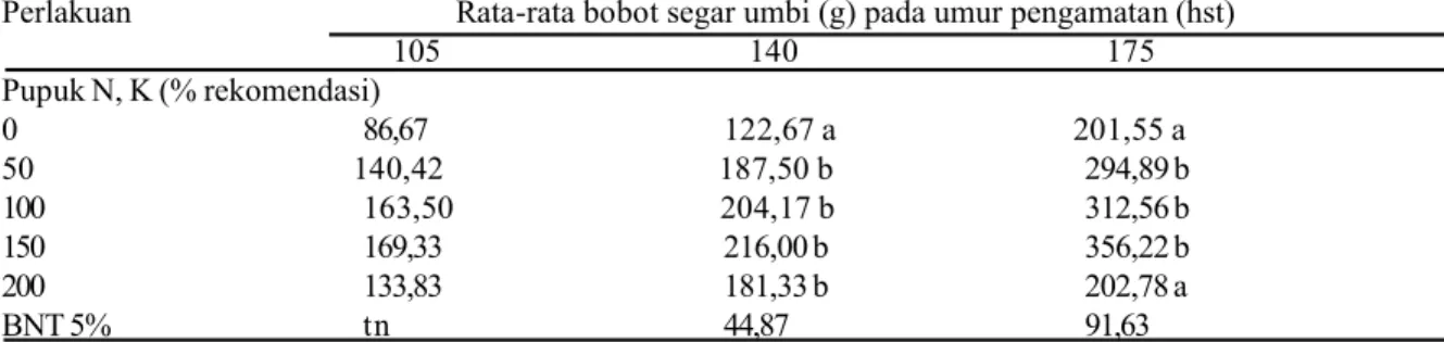 Tabel 8.  Rata-rata bobot umbi/ tanaman talas pada lima dosis pemupukan N,K (% rekomendasi)  pada umur 105,140  dan 175 hst