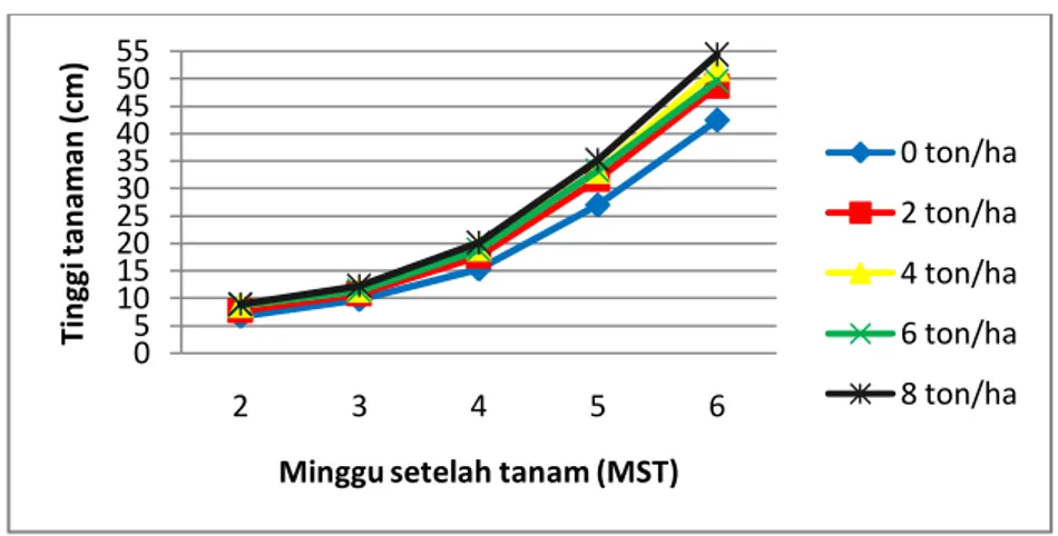 Tabel 1. Tinggi tanaman kedelai akibat pemberian takaran mulsa jerami padi pada umur  6 MST 