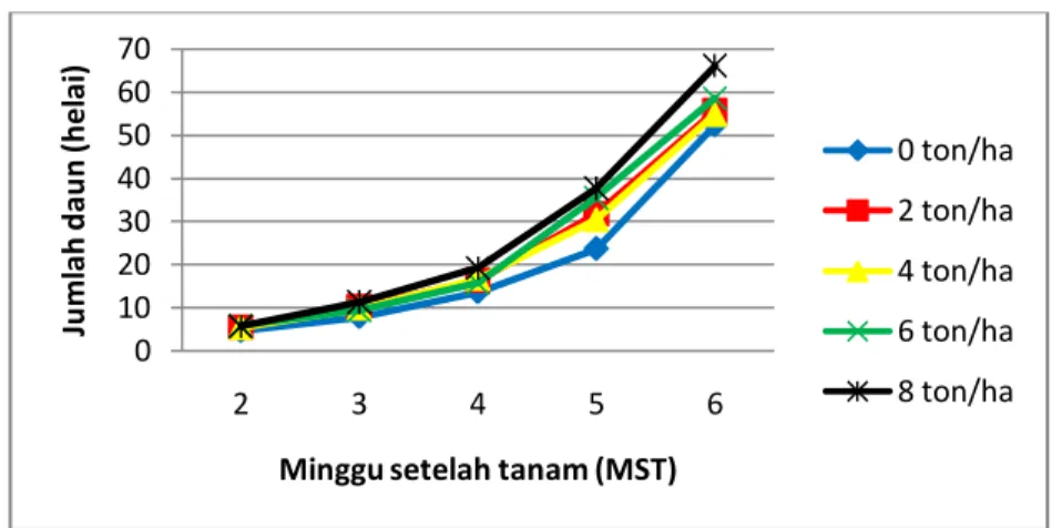Gambar 2.  Peningkatan jumlah daun tanaman kedelai akibat pemberian takaran mulsa  jerami padi pada umur 2, 3, 4, 5, dan 6 MST