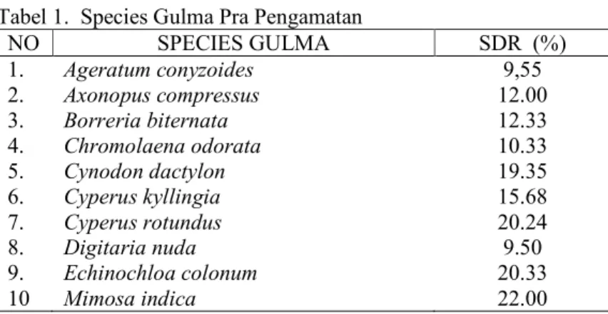 Tabel 1.  Species Gulma Pra Pengamatan 