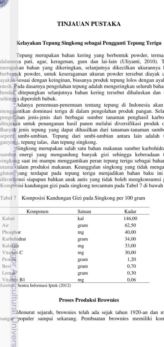 Tabel 7    Komposisi Kandungan Gizi pada Singkong per 100 gram 