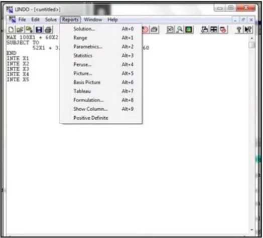 Gambar 2.6 Tampilan Perintah Report Program LINDO 