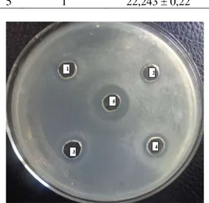 Gambar 6. Hasil  pengujian  aktivitas  antimikroba  pembanding  Tetrasiklin  HCl  Terhadap  Bakteri Staphylococcus aureus 