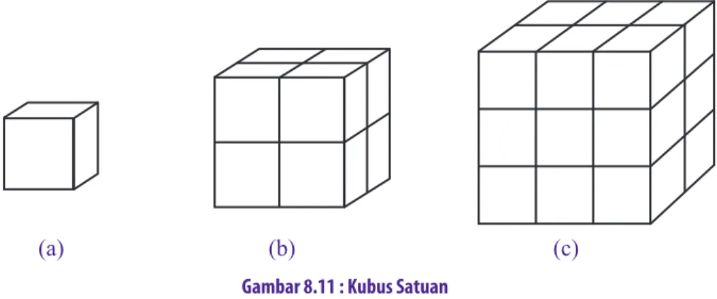 Gambar  8.11   menunjukkan  bentuk-bentuk  kubus  dengan  ukuran  berbeda.  Kubus  pada  Gambar  8.11  (a) merupakan  kubus  satuan