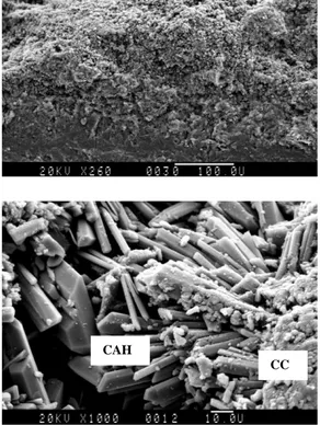 Gambar 3.3  Hasil SEM Beton di Air Tawar 