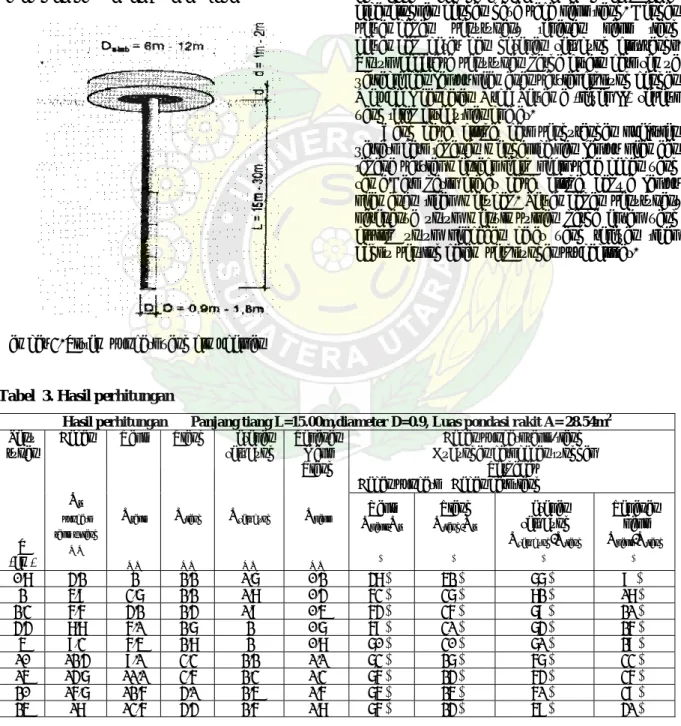 Gambar 3. Sistem pondasi yang dimodelkan 