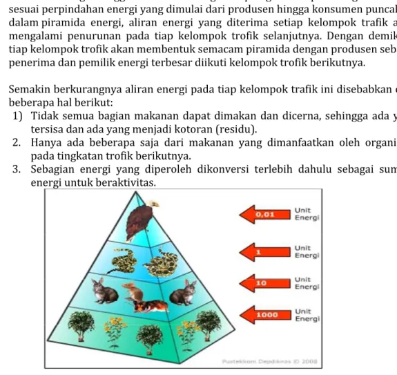 Gambar  Piramida energi  Sumber: :  mudahbiologi.blogspot.com