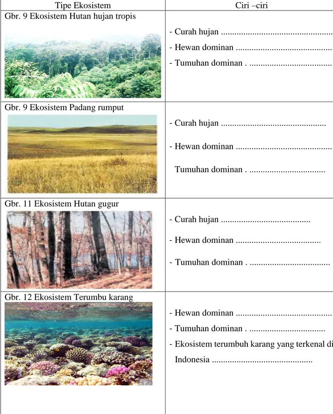 Tabel 1. Tipe ekosistem 