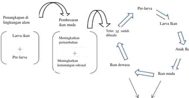 Gambar 3: Cara budidaya total 
