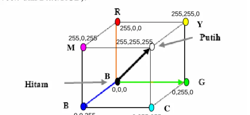 Gambar  3.  Koordinat RGB.