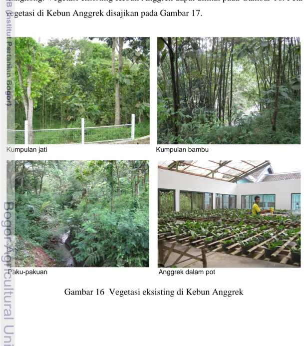 Gambar 16  Vegetasi eksisting di Kebun Anggrek     