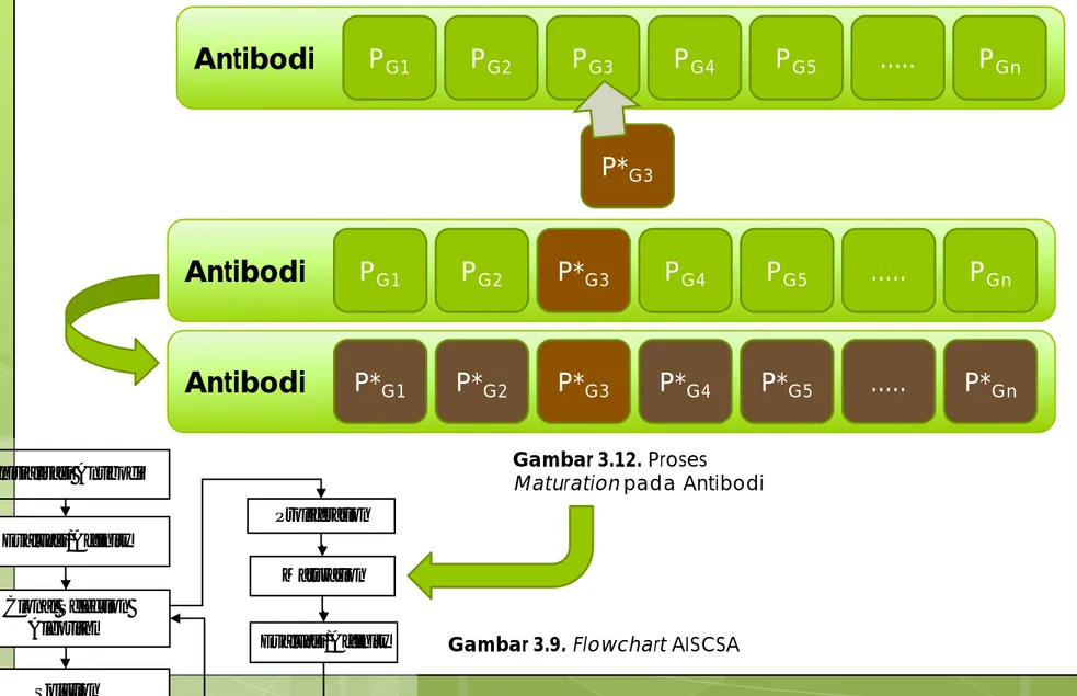 Gambar 3.9. Flowchart AISCSAGambar 3.12. Proses  Maturation pada Antibodi