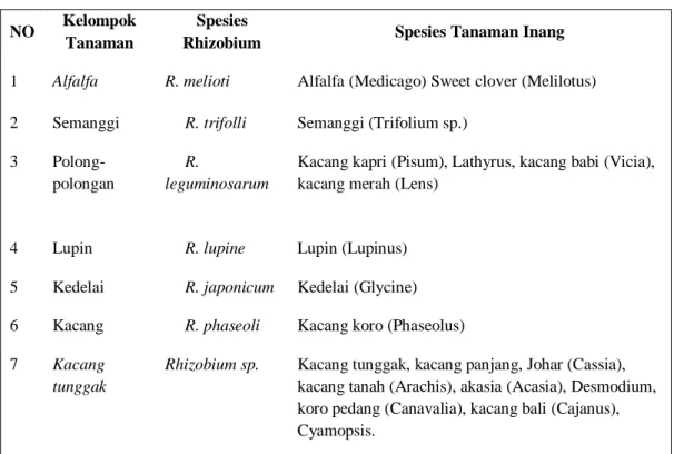 Tabel 2.3. Simbiosis antara spesies bakteri Rhizobium dengan Legum sebagai  tanaman inang yang bersifat spesifik (Lawn, 1975; Adnyana, 2012)