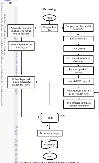 Gambar 5  Diagram alir tahapan–tahapan penelitian 