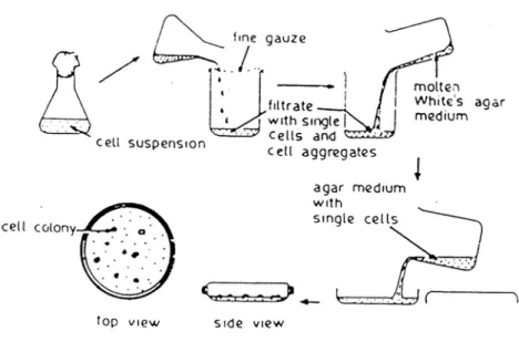 Gambar 5. 4. Diagram cara pembuatan sel plating 