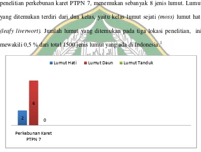 Gambar 7.   Perbandingan jenis lumut yang ditemukan di perkebunan karet PTPN 7 Desa Sabah Balau, Lampung Selatan, Lampung 