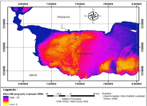 Gambar 9. Peta sebaran klorofil di perairan Selat Madura tanggal 19 Januari  2006  hasil ekstraksi citra satelit Landsat (sumber: hasil analisis citra) 