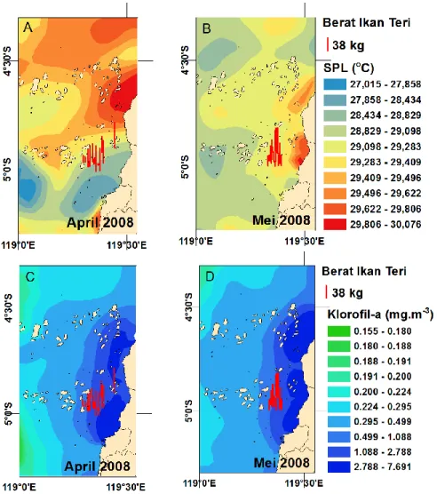 Gambar  3.  Kondisi  oseanografi  di  perairan  Spermonde  dan  sekitarnya;  (A‒B)  suhu  permukaan  laut;  dan  (C‒D)  konsentrasi  klorofil-a  permukaan  laut  rata-rata  bulanan  ( monthly average )  pada bulan April  sampai Mei 2008  diperoleh  dari  C