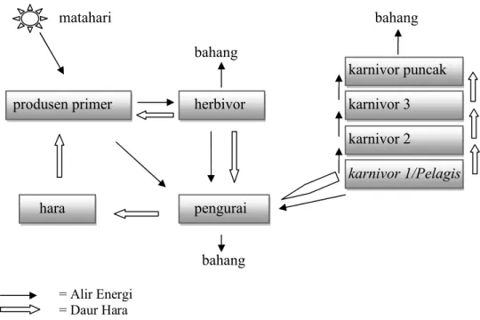 Gambar 2.  Alir Energi (energy flow) dan Daur Hara (nutrient cycle) dalam suatu Ekosistem Klorofill  memegang  posisi  kunci 