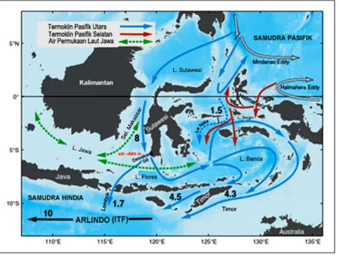 Gambar 5. Jalur dan transpor air Arlindo dari Samudra Pasifik ke Samudra Hindia lewat selat- selat-selat di Indonesia