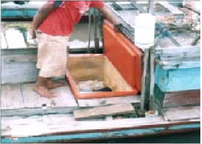 Gambar  3. Cool-box Kapasitas 200 kg di Kapal  Rawai 3-4 GT/3 PK