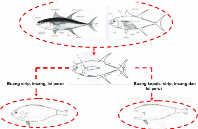 Gambar 17. Diagram penyiangan ikan 