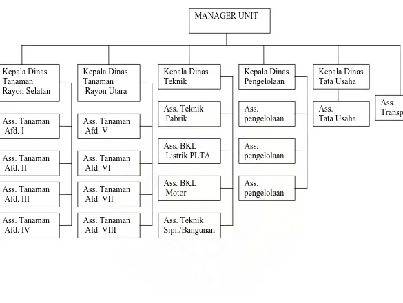 Gambar 1. Struktur Organisasi PT. Perkebunan Nusantara IV (Persero) Kebun Dolok Ilir 