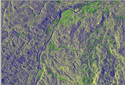 Gambar 11. Citra TerraSAR-X Cropping Sample Desa Sukaluyu           (Skala 1:21.112) 