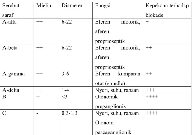 Tabel 4. Klasifikasi serabut saraf  6 Serabut