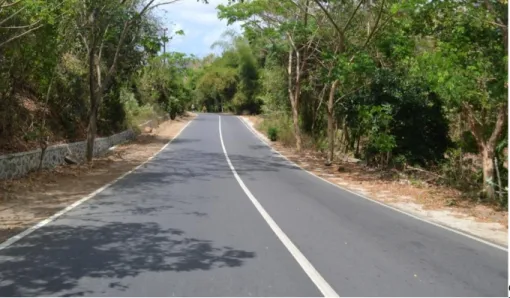 Gambar 4.3 Kondisi Jalan Raya Menuju Kawasan Pariwisata Kuta Lombok  Sumber: Dokumen Peneliti, 2014 