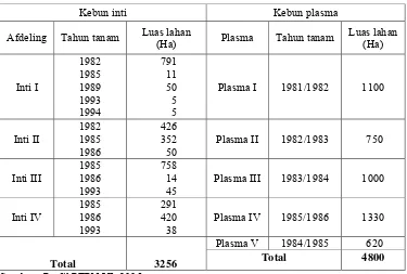 Tabel 6.  Luas Lahan dan Tahun Tanam Kebun Inti dan Kebun Plasma PTPN VI  