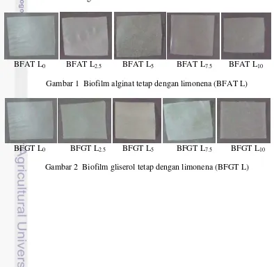 Gambar 1  Biofilm alginat tetap dengan limonena (BFAT L) 