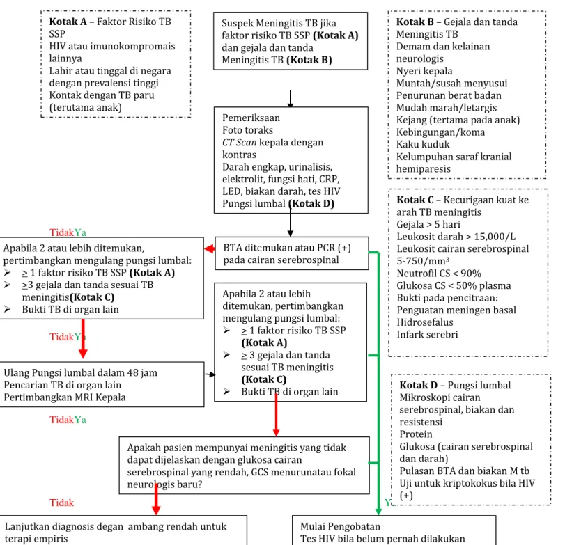 Gambar 6.1. Algoritma Diagnosis Tuberkulosis Susunan Saraf Pusat 