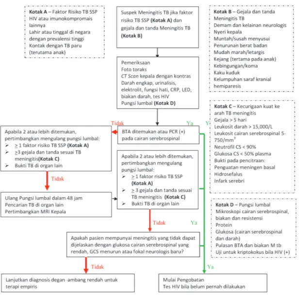 Gambar 6.1. Algoritma diagnosis tuberkulosis susunan saraf pusat