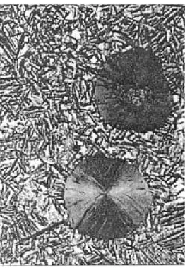 Gambar 5. Foto Struktur Mikro BTN tanpa penam- penam-bahan 1,3 % Cu basil Austemper  850 °c, ditahan selama 15 men  it, pembesaran  500 X