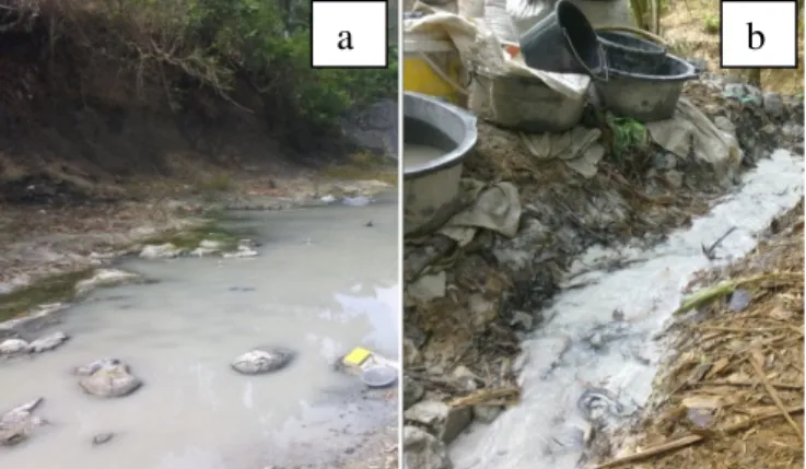 Gambar 8. (a) Pelumpuran dari proses penggilingan bijih  yang telah terendapkan di dasar sungai; (b) Pelumpuran 