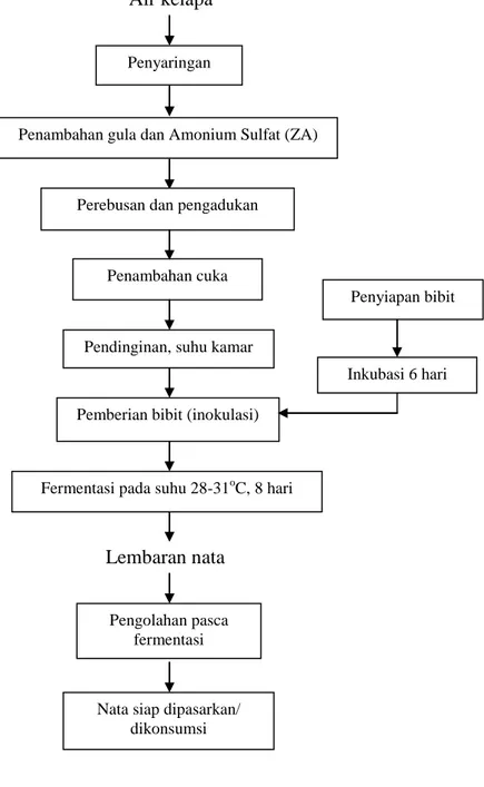 Gambar 2. Diagram alir proses pembuatan nata de coco secara umum  Sumber : (Pambayun, 2002) 