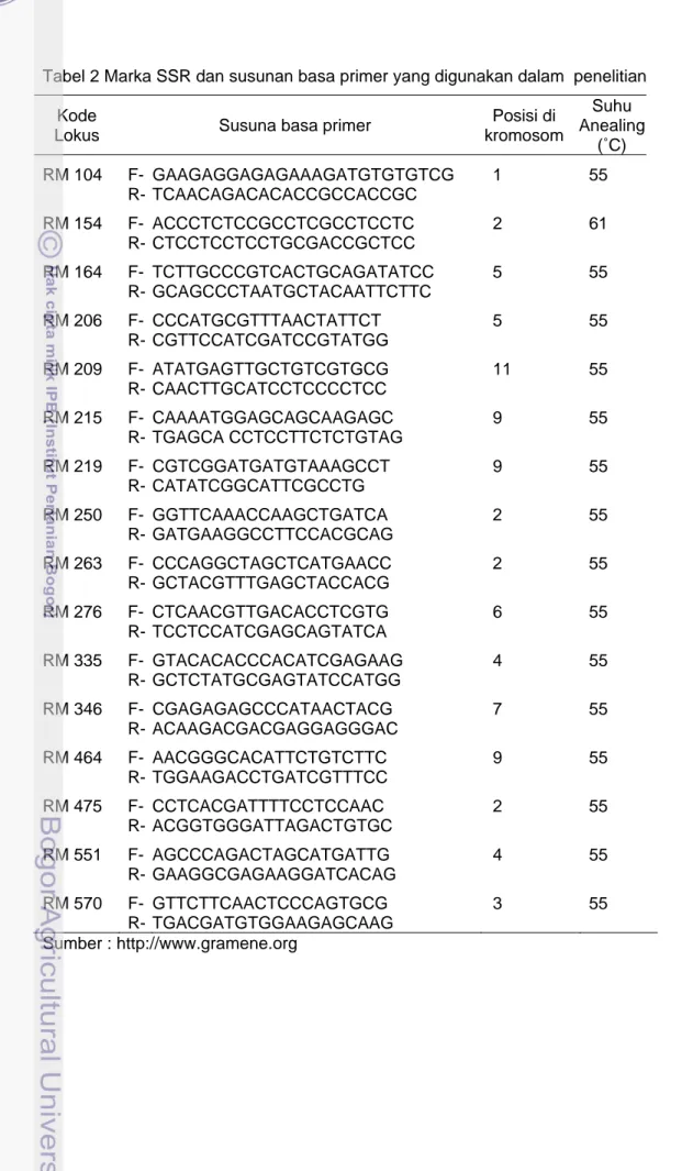 Tabel 2 Marka SSR dan susunan basa primer yang digunakan dalam  penelitian  Kode 