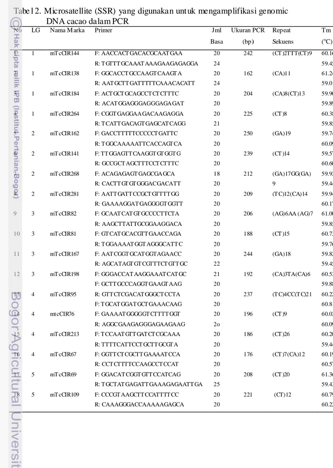 Tabe l 2. Microsatellite (SSR) yang digunakan unt uk mengamplifikasi genomic  DNA cacao dalam PCR 