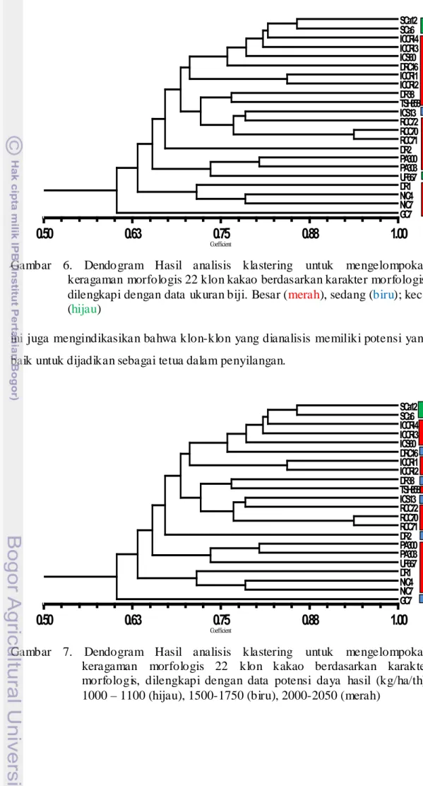 Gambar  6.  Dendogram Hasil analisis klastering untuk mengelompokan  keragaman morfologis 22 klon kakao berdasarkan karakter morfologis,  dilengkapi dengan data ukuran biji