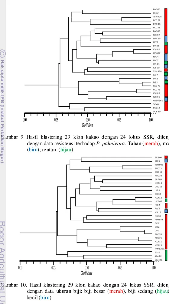 Gambar  9  Hasil  klastering 29 klon kakao dengan 24 lokus SSR, dilengkapi  dengan data resistensi terhadap P