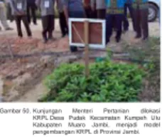 Gambar 51.  Kepala Balai (Dr. M. Muchlish Adie) beserta puluhan staf peneliti dan administrasi melakukan panen sayuran  bersama di lokasi M-KRPL Balitkabi