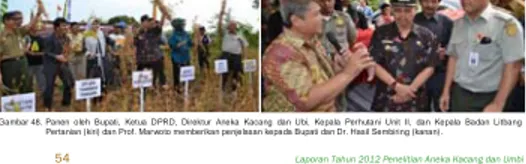 Gambar 48. Panen oleh Bupati, Ketua DPRD, Direktur Aneka Kacang dan Ubi, Kepala Perhutani Unit II, dan Kepala Badan Litbang  Pertanian (kiri) dan Prof