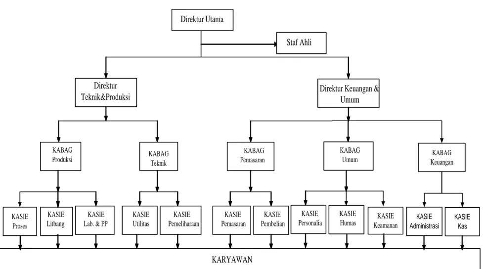 Gambar 8.1 Struktur Organisasi Perusahaan Direktur 