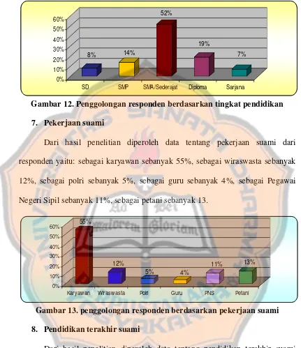 Gambar 12. Penggolongan responden berdasarkan tingkat pendidikan 