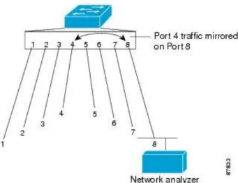 Gambar 4 SPAN Konsep dan Terminologi 